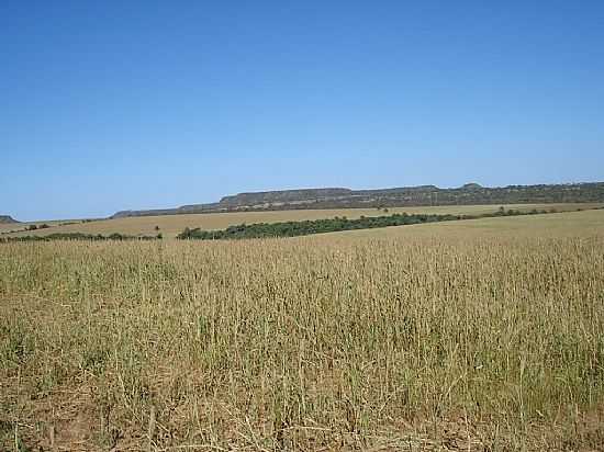 GUIRATINA-MT-VISTA DA REGIO-FOTO:TH.ARRUDA - GUIRATINGA - MT