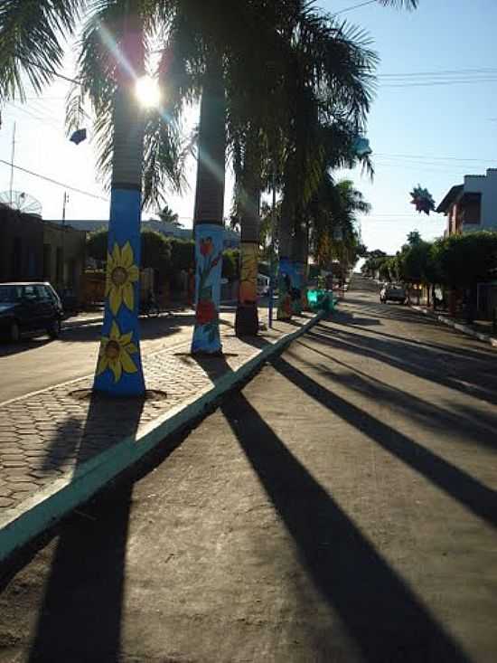 PALMEIRAS PINTADAS NA AVENIDA EM GUIRATINGA-FOTO:TH.ARRUDA - GUIRATINGA - MT