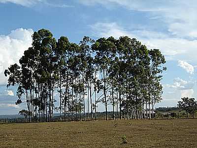ITIQUIRA POR MANOEL DOURADO - ITIQUIRA - MT