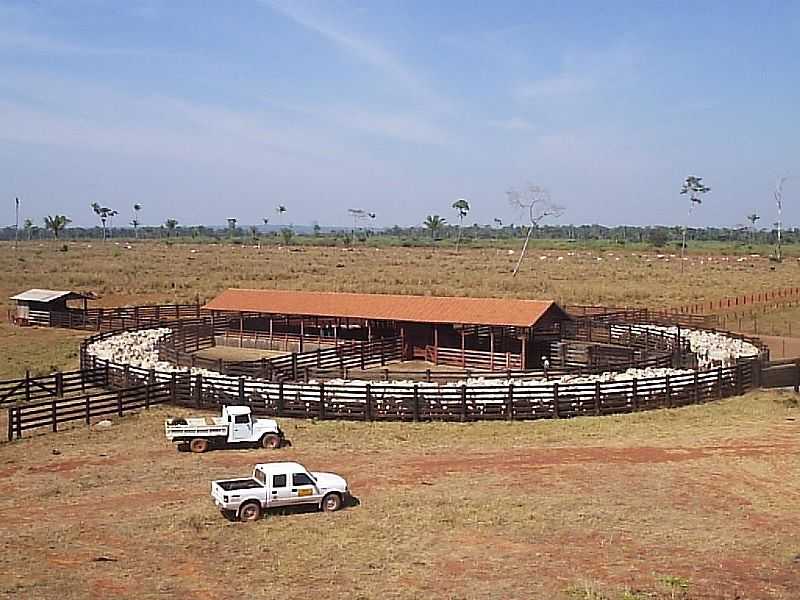 JUARA-MT-FAZENDA NA CAPITAL DO GADO-FOTO:JUARANET  - JUARA - MT