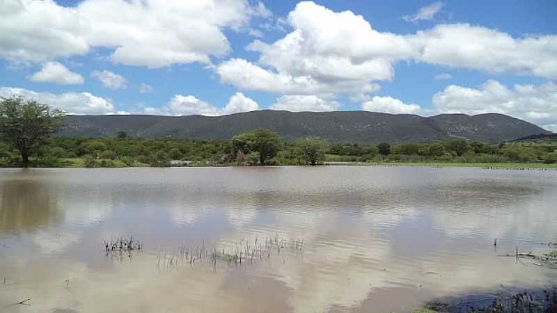 BREJO NOVO-BA-LAGOA DE BREJO NOVO-FOTO:BOQUIRAEMACAO.  - BREJO NOVO - BA