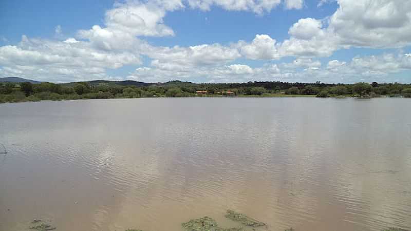 BREJO NOVO-BA-LAGOA DE BREJO NOVO-FOTO:BOQUIRAEMACAO.  - BREJO NOVO - BA