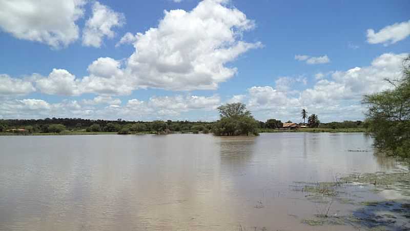 BREJO NOVO-BA-LAGOA DE BREJO NOVO-FOTO:BOQUIRAEMACAO.  - BREJO NOVO - BA