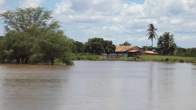 BREJO NOVO-BA-LAGOA DE BREJO NOVO-FOTO:BOQUIRAEMACAO.  - BREJO NOVO - BA