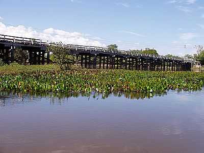 RIO MUTUM FOTO
FLICKR - MIMOSO - MT