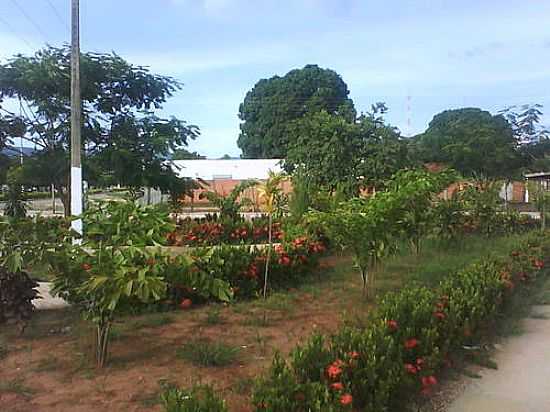 PRAA CENTRAL DE NOBRES-MT-FOTO:RUBENS NETO - NOBRES - MT