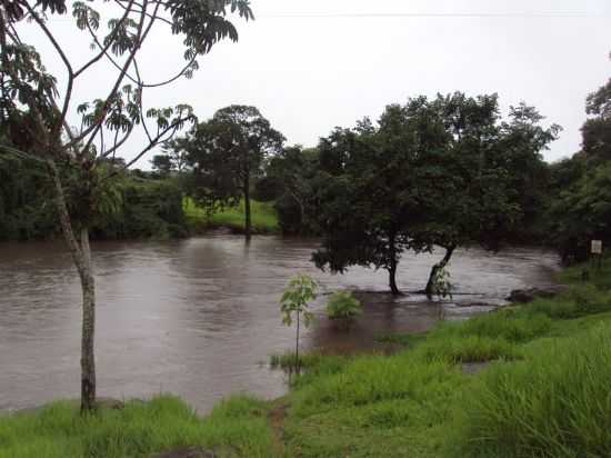 POLI, POR APOLIANE - NOVA BANDEIRANTES - MT