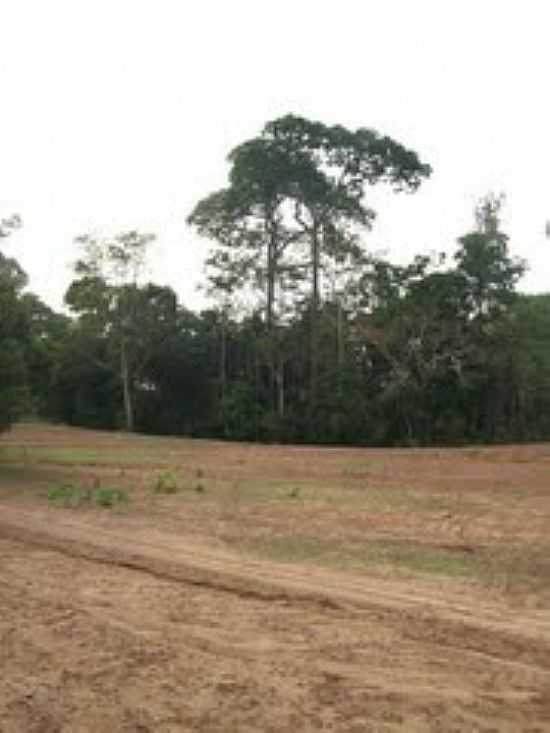 STIO EM NOVA BRASILNDIA-FOTO:VALDECISANTOS - NOVA BRASILNDIA - MT