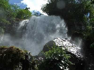 HOTEL FAZENDA CACHOEIRA-FOTO:CAVALAR WALTER EDSON ... - NOVA OLMPIA - MT