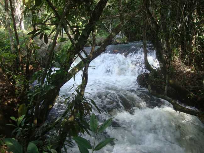 CORREDEIRA - SITIO ARVORE DO AMOR, POR CLEONICE GOMES DA SILVA MAYNART - NOVA UBIRAT - MT