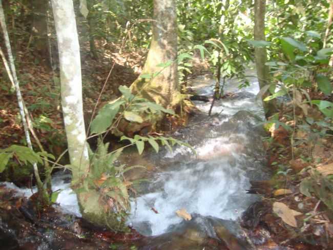 OLHO DE GUA FAZENDA PINESSO, POR CLEONICE GOMES DA SILVA MAYNART - NOVA UBIRAT - MT