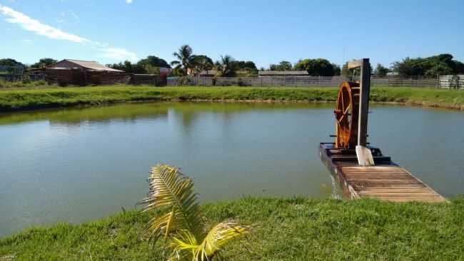 LAGO - CHAL, POR CLEONICE GOMES DA SILVA MAYNART - NOVA UBIRAT - MT