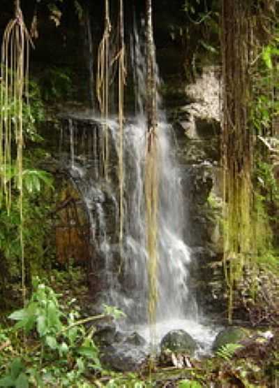 CACHOEIRA-FOTO:RENATO FERNANDES DE   - NOVO MUNDO - MT