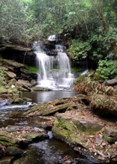 CACHOEIRA-FOTO:RENATO FERNANDES DE   - NOVO MUNDO - MT