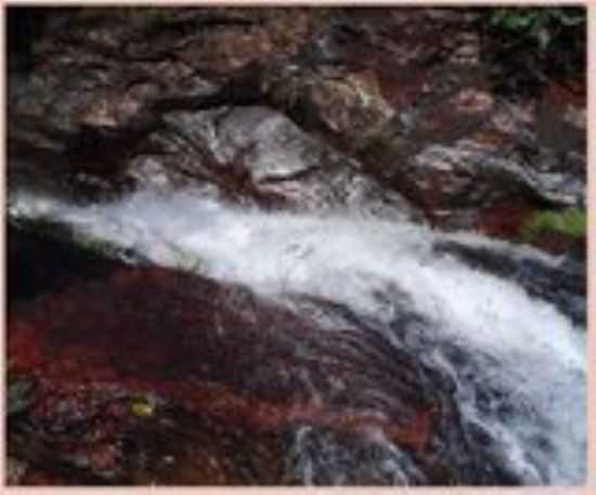 CACHOEIRA DO LUCAS, POR HELLEN MORGHANNA - POXORO - MT