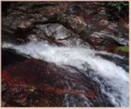 CACHOEIRA DO LUCAS, POR HELLEN MORGHANNA - POXORO - MT