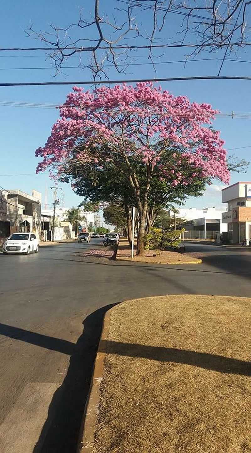 IMAGENS DA CIDADE DE PRIMAVERA DO LESTE - MT - PRIMAVERA DO LESTE - MT