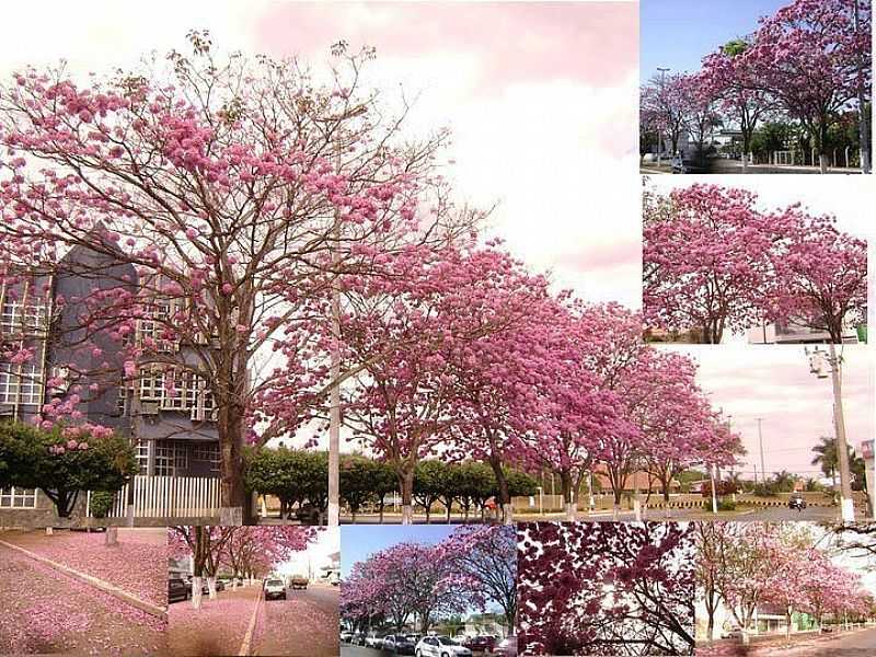 IMAGENS DA CIDADE DE PRIMAVERA DO LESTE - MT - PRIMAVERA DO LESTE - MT