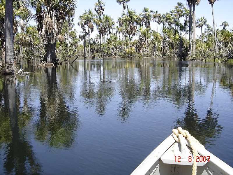 QUERNCIA-MT-BURITIS NO RIO DARRO-FOTO:XYKO - QUERNCIA - MT