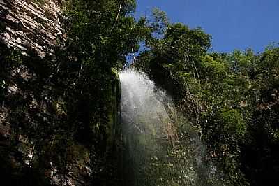 CACHOEIRA CHUVA DE PRATA FOTO POR M.NEGRETTI - RESERVA DO CABAAL - MT