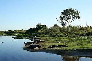 PARQUE ESTADUAL GUAS DO CUIAB - ROSRIO OESTE - MT