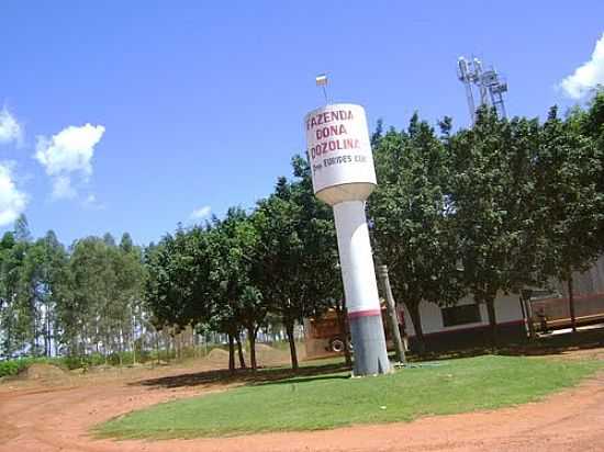 FAZENDA DE ROGRIO CENI EM SANTA CARMEM-MT-FOTO:FELIPE OLIVA - SANTA CARMEM - MT