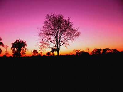 ENTARDECER NA FAZENDA TAMANDU-FOTO:CAVALAR WALTER EDSON ... - SANTO AFONSO - MT