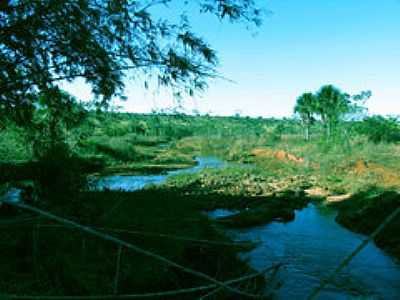 FAZENDA TAMANDU-FOTO:CAVALAR WALTER EDSON ... - SANTO AFONSO - MT