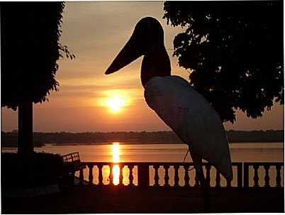 ORELHAO , POR KELSON. - SO FLIX DO ARAGUAIA - MT