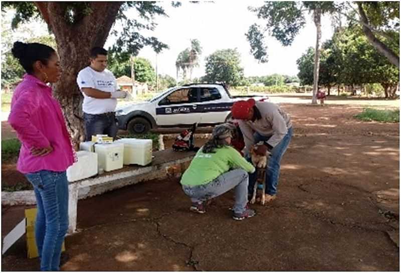 LOCALIDADE DE SELMA DISTRITO DE JACIARA MT - SELMA - MT