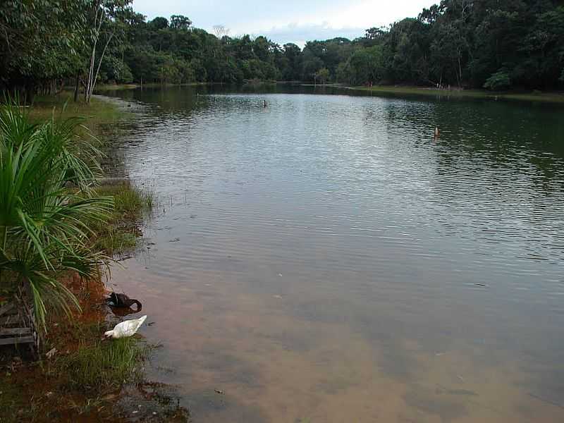 SINOP-MT-LAGO NO PARQUE FLORESTAL-FOTO:DALCIO E MARILDA BEREGULA - SINOP - MT