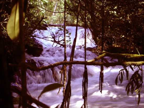 CORREGO DO SALTO, POR EDSON WALTER CAVALARI - TANGAR DA SERRA - MT