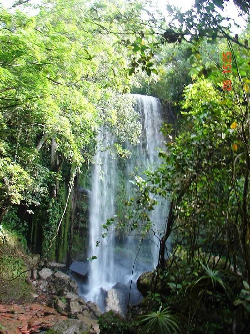 TESOURO-MT-CACHOEIRA NO CRREGO DO CADELA-FOTO:ROGRIO SALLES - TESOURO - MT