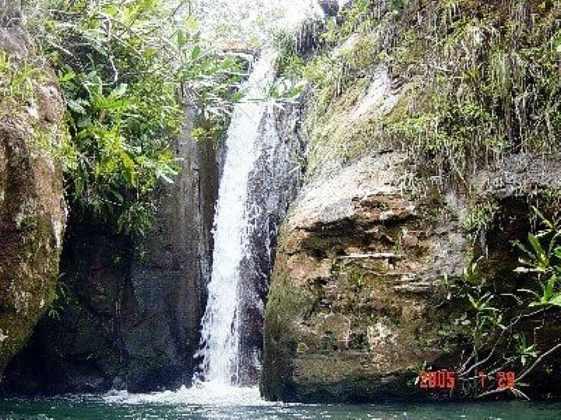 TESOURO-MT-CACHOEIRA NOVA-BORA-FOTO:ROGRIO SALLES - TESOURO - MT