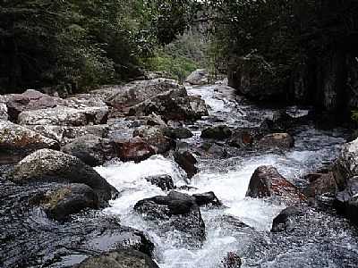 CACHOEIRA DOS NAMORADOS FOTO CARLOS
M FERREIRA - VILA BELA DA SANTSSIMA TRINDADE - MT