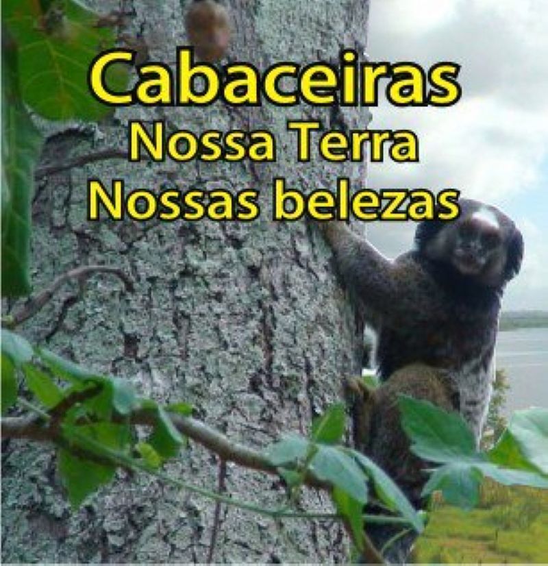 CABACEIRAS DO PARAGUAU-BA-FAUNA NA REGIO-FOTO:ANDERSON BELLA - CABACEIRAS DO PARAGUAU - BA