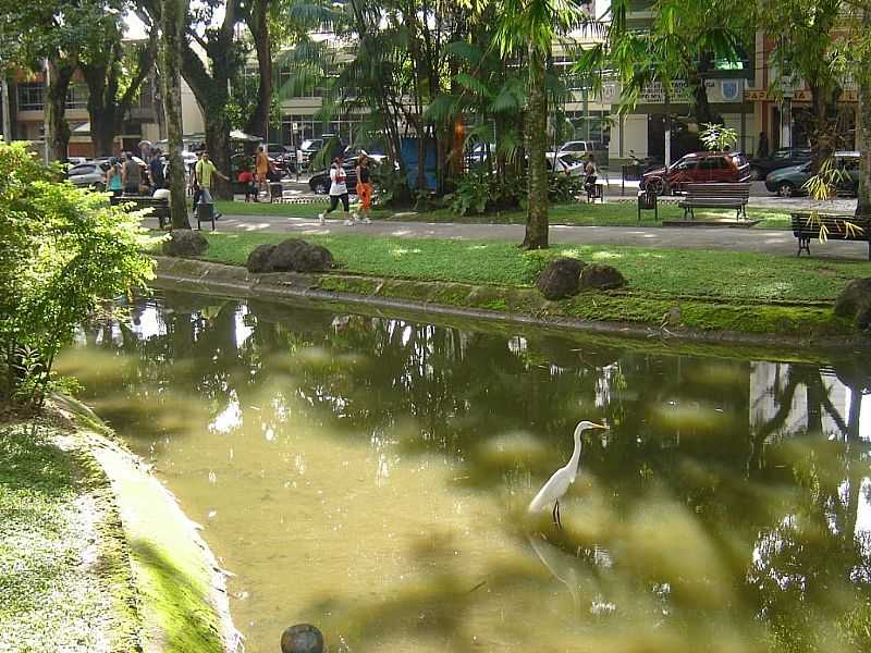 IMAGENS DA CIDADE DE ABAETETUBA - PA POR PAGANELLI  - ABAETETUBA - PA