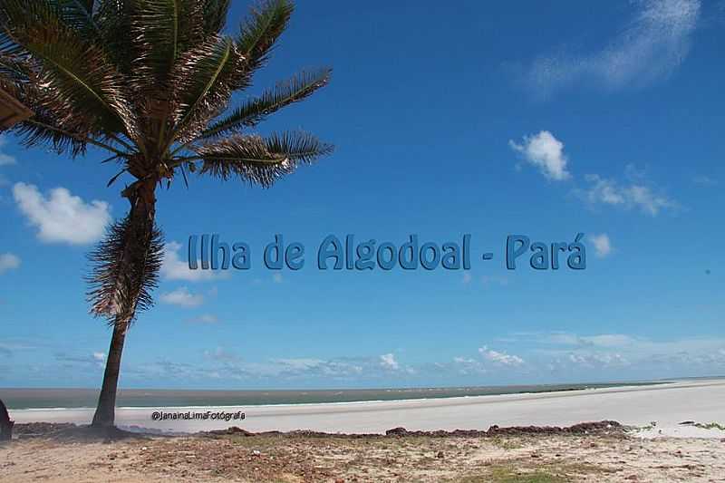 ILHA DE ALGODOAL - PA - ALGODOAL - PA