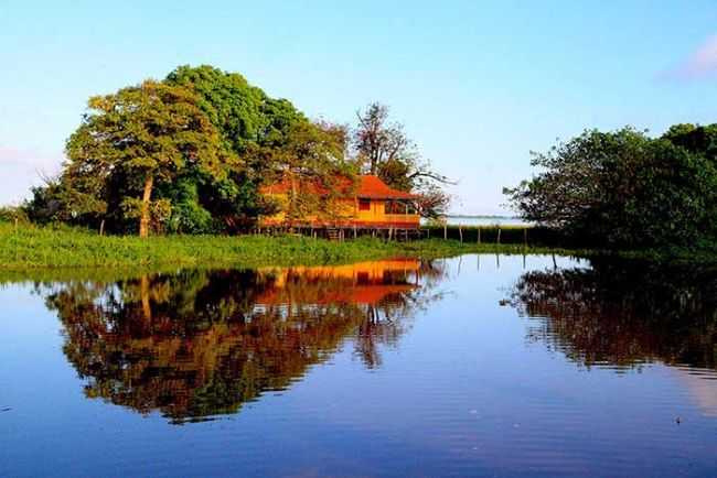 RIO AMAZONAS. CANAL DO JAR., POR CLAUDIO CHENA - ALTER DO CHO - PA