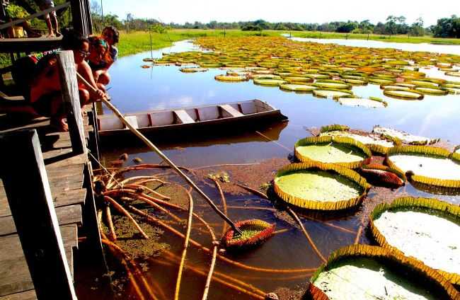 CANAL DO JAR., POR CLAUDIO CHENA - ALTER DO CHO - PA