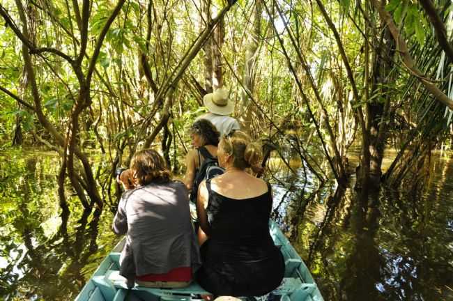 CANAL DO JAR NA CHEIA., POR CLAUDIO CHENA - ALTER DO CHO - PA