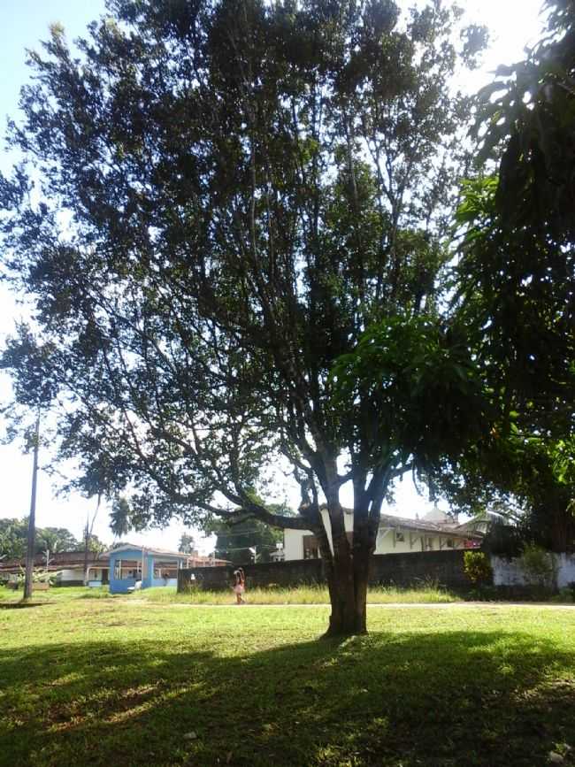 FRENTE DA VILA DE ARAQUAIM . BOSQUE SAGRADO DE SO MARAL., POR SAMUEL SOSHA - ARAQUAIM - PA