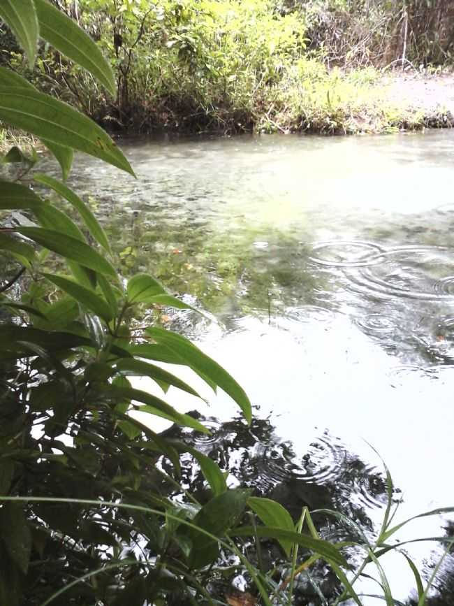 RIO DO CEBOLA NA VILA DE ARAQUAIM., POR SAMUEL SOSHA - ARAQUAIM - PA