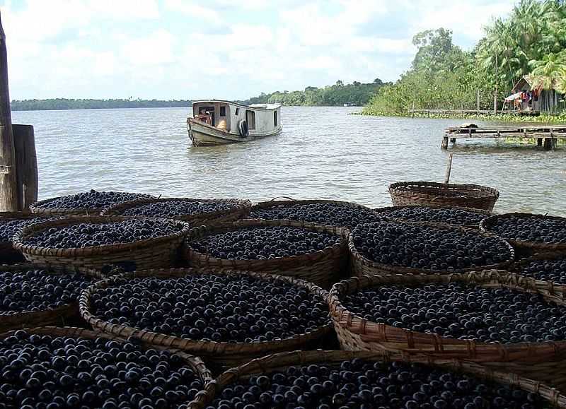 IMAGENS DA CIDADE DE BAGRE - PA - BAGRE - PA