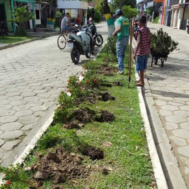 RUA PRESIDENTE VARGAS, POR MOUGO - BAGRE - PA