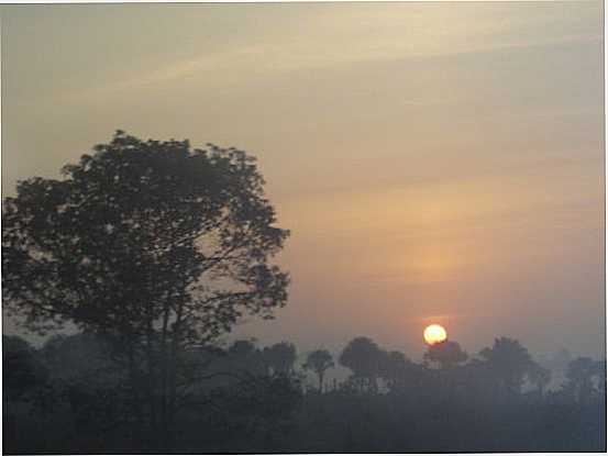PR DO SOL EM BAIO, POR DISNEY TOCANTINS - BAIO - PA