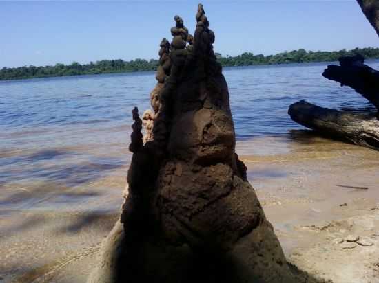 RIO TOCANTINS ARAQUEMBAUA, POR HENRIQUE DANIEL DE JESUS - BAIO - PA
