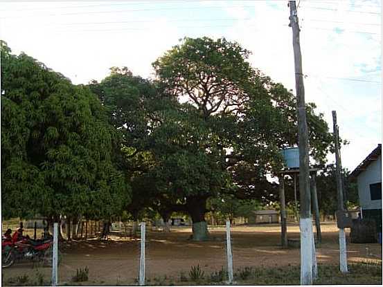 BARREIRA DOS CAMPOS PA., POR CRISTIANO SOUSA  - BARREIRA DOS CAMPOS - PA