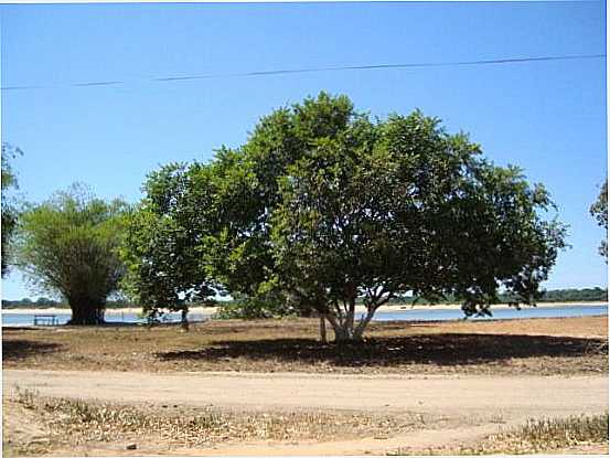 BARREIRA DOS CAMPOS PA..., POR CRISTIANO SOUSA - BARREIRA DOS CAMPOS - PA