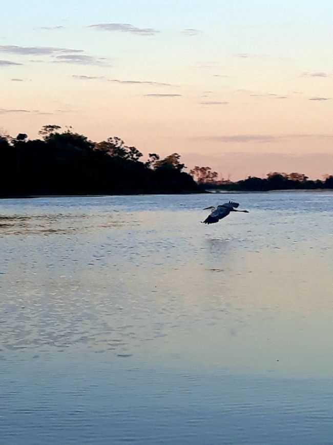 POR CRISTIANO SOUSA - BARREIRA DOS CAMPOS - PA